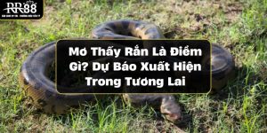 Mơ Thấy Rắn Là Điềm Gì? Dự Báo Xuất Hiện Trong Tương Lai mo-thay-ran-la-diem-gi